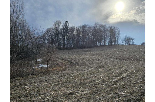 15 ACRES Marigaard, De Soto, WI 54624