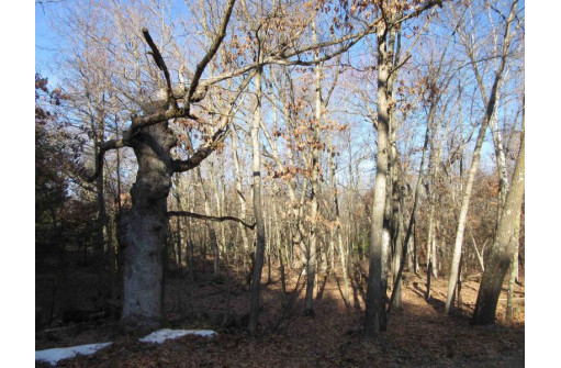 1.6 ACRES Deer Run Road, Montello, WI 53949