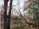 1.6 ACRES Deer Run Road, Montello, WI 53949