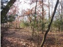 1.6 ACRES Deer Run Road, Montello, WI 53949