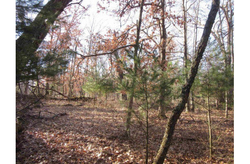 1.6 ACRES Deer Run Road, Montello, WI 53949