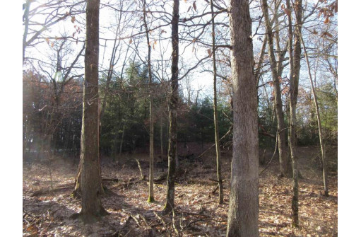 1.6 ACRES Deer Run Road, Montello, WI 53949