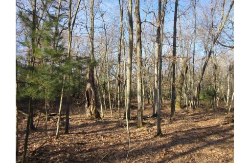 1.6 ACRES Deer Run Road, Montello, WI 53949