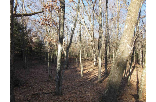 1.6 ACRES Deer Run Road, Montello, WI 53949