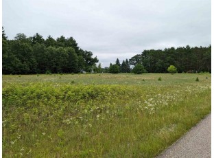 LOT 2 Gale Court Wisconsin Dells, WI 53965