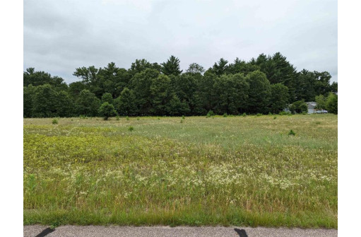 LOT 2 Gale Court, Wisconsin Dells, WI 53965