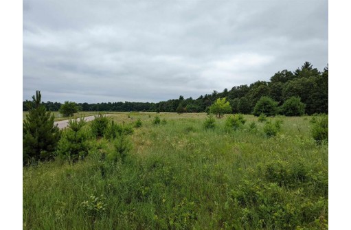 LOT 1 Gale Court, Wisconsin Dells, WI 53965