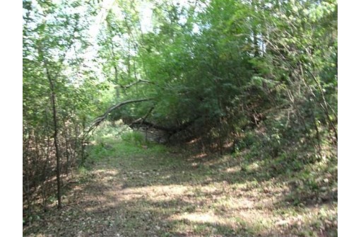 1.54 AC Hillside Drive, Wisconsin Dells, WI 53965