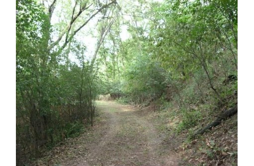 1.54 AC Hillside Drive, Wisconsin Dells, WI 53965