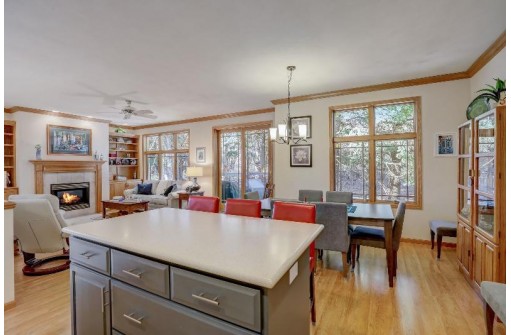 17 Deer Point Trail, Madison, WI 53719