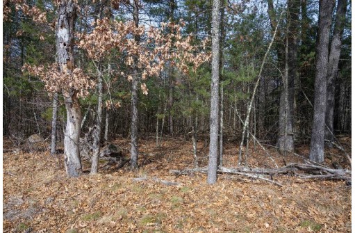 5 ACRES County Road C, Arkdale, WI 54613