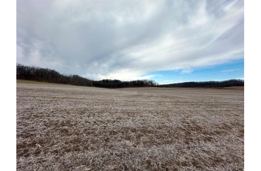 73 +/- ACRES Hidden Springs Lane, Muscoda, WI 53573