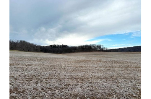 73 +/- ACRES Hidden Springs Lane, Muscoda, WI 53573