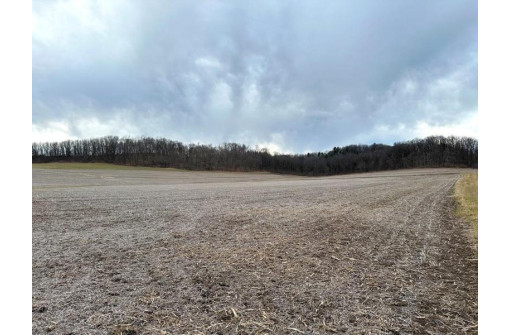 73 +/- ACRES Hidden Springs Lane, Muscoda, WI 53573