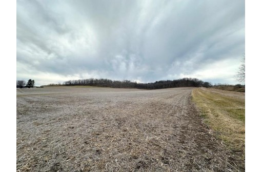 73 +/- ACRES Hidden Springs Lane, Muscoda, WI 53573