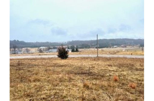 LOT 68 Van Buren Street, Black River Falls, WI 54615