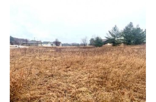 LOT 69 Van Buren Street, Black River Falls, WI 54615