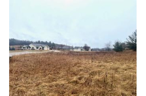 LOT 69 Van Buren Street, Black River Falls, WI 54615