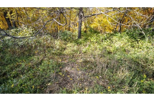 +/- 22 ACRES Porter Hill Road, Lancaster, WI 53813