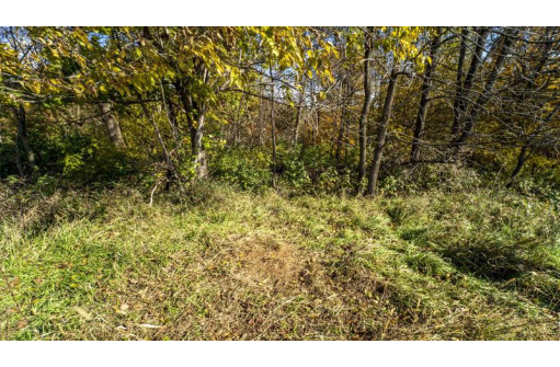 +/- 22 ACRES Porter Hill Road, Lancaster, WI 53813