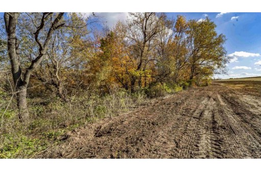 +/- 22 ACRES Porter Hill Road, Lancaster, WI 53813