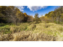 +/- 55 ACRES Porter Hill Road, Lancaster, WI 53813