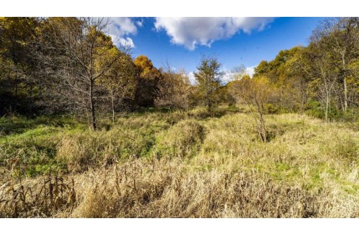 +/- 55 ACRES Porter Hill Road, Lancaster, WI 53813