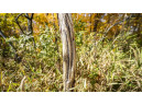 +/- 55 ACRES Porter Hill Road, Lancaster, WI 53813