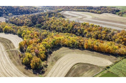 +/- 55 ACRES Porter Hill Road, Lancaster, WI 53813