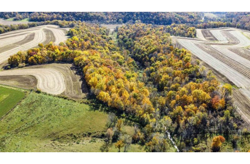 +/- 55 ACRES Porter Hill Road, Lancaster, WI 53813