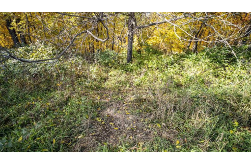 +/- 55 ACRES Porter Hill Road, Lancaster, WI 53813