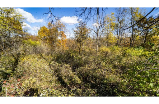 +/- 55 ACRES Porter Hill Road, Lancaster, WI 53813