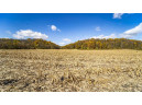 +/- 55 ACRES Porter Hill Road, Lancaster, WI 53813