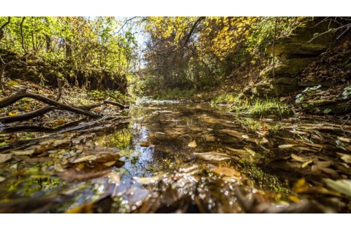 +/-46 ACRES Bee Lane, Lancaster, WI 53813