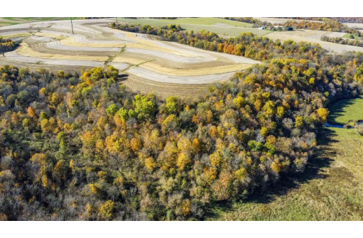 +/-46 ACRES Bee Lane, Lancaster, WI 53813