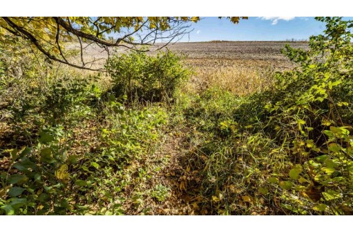 +/-46 ACRES Bee Lane, Lancaster, WI 53813