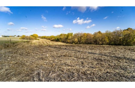 +/-46 ACRES Bee Lane, Lancaster, WI 53813