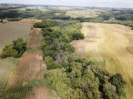 +/-25 ACRES Bee Lane