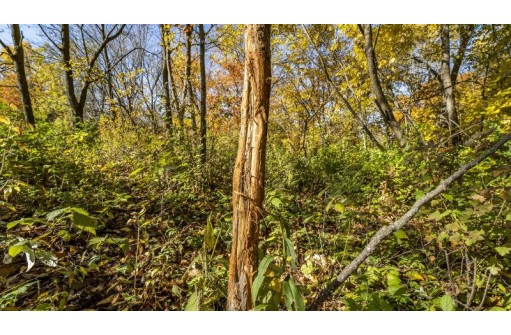 +/-25 ACRES Bee Lane, Lancaster, WI 53813