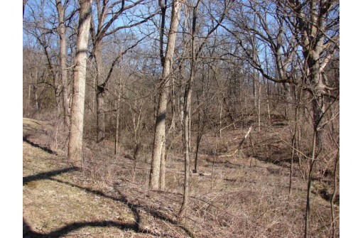 55.5 +/- ACRES Hunter Hollow Road, Dodgeville, WI 53533