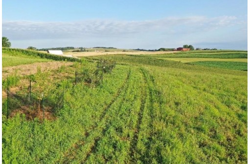 67.82 Acres Whippoorwill Road, Cross Plains, WI 53528