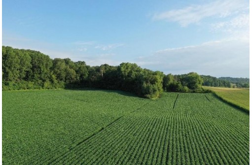 67.82 Acres Whippoorwill Road, Cross Plains, WI 53528