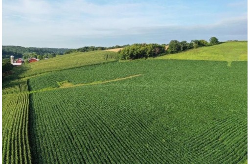 67.82 Acres Whippoorwill Road, Cross Plains, WI 53528