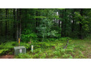 LOT 23 Menominee Shores Drive, Wausaukee, WI 54177