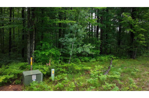 LOT 23 Menominee Shores Drive, Wausaukee, WI 54177