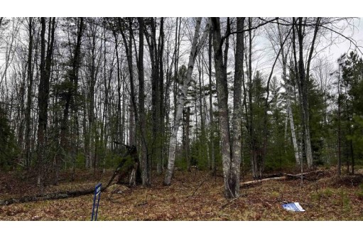 LOT 23 Menominee Shores Drive, Wausaukee, WI 54177