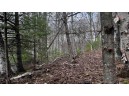 LOT 23 Menominee Shores Drive, Wausaukee, WI 54177