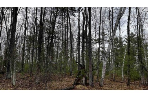 LOT 23 Menominee Shores Drive, Wausaukee, WI 54177