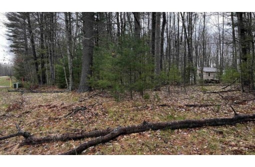 LOT 23 Menominee Shores Drive, Wausaukee, WI 54177