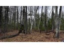 LOT 23 Menominee Shores Drive, Wausaukee, WI 54177